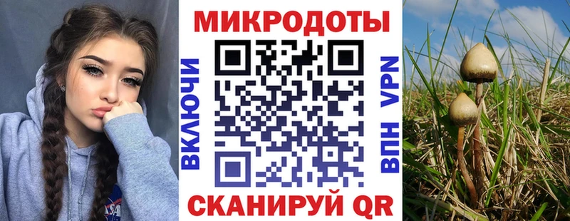 Галлюциногенные грибы мицелий Лесной